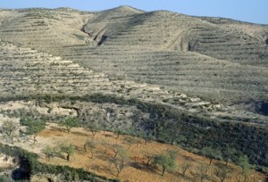 Image26_ridotta