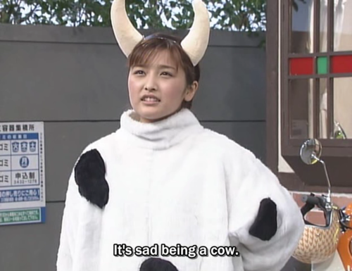 sad being a cow