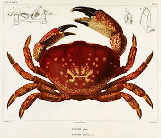 Informazione e censura sul web cinese