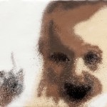 34 Alessandro Monfrini. proibito. Spray su tela