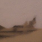 Fantasma 3- 2012 Ale spray e acrilico pannello