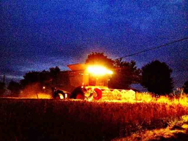 Grazie, signora Merkel