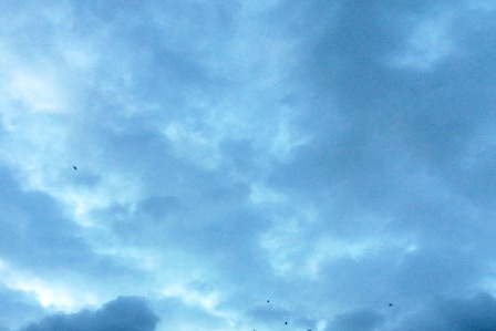 In tutti i quartieri, in tutte le grotte