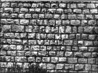 Ad Auschwitz non c’era il mistero