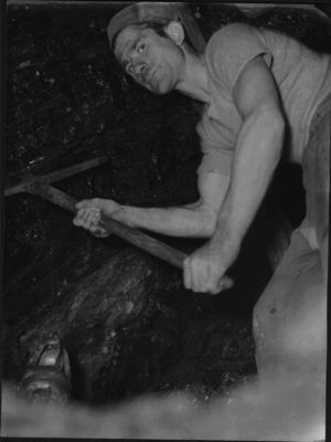 Minotauro – minatore