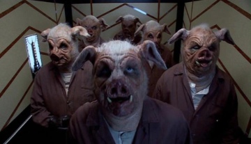 Primo capitolo di un romanzo noir