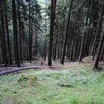 bosco_14_07_14-18 (37)