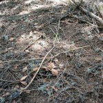 disordi_14_07_14-18 (189)