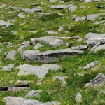 pietreS10_14_07_14-18 (258)