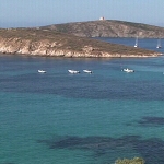 cinéDIMANCHE #15 FURRIADROXUS di Michele Mossa e Michele Trentini [2005]