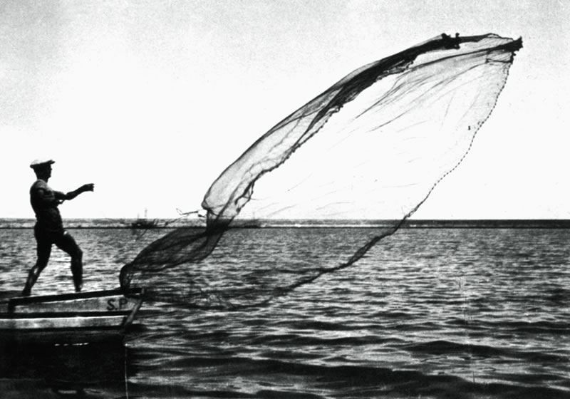 Miti Moderni/10: la rete