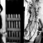 Ida striscia copy (2)