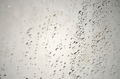 La riviera dei fiori