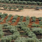 DSC_0232_rit_rit_rid