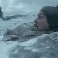 THE REVENANT [2015] Purché sia acqua