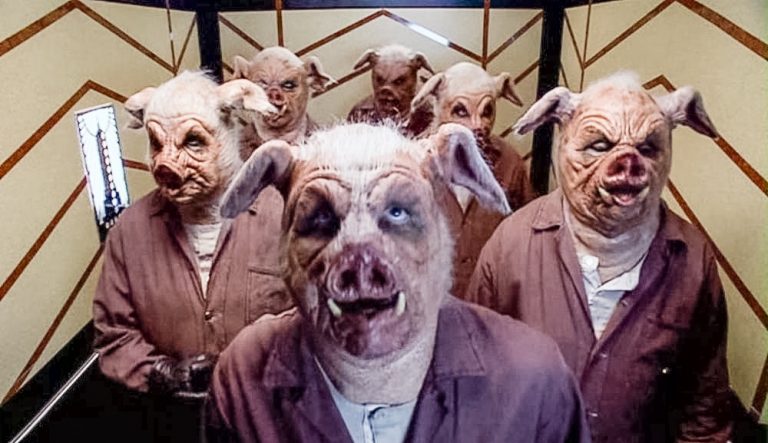 Città dei porci. L’appartamento, la città