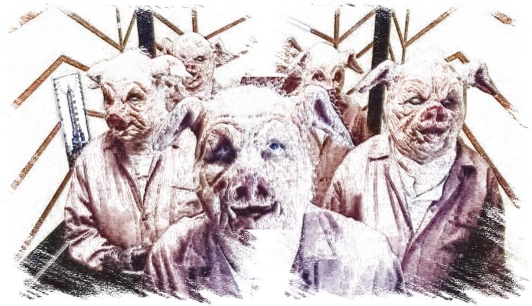 Città dei porci. Una gita in campagna