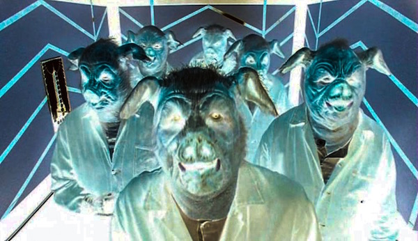 Città dei porci. Il supermercato