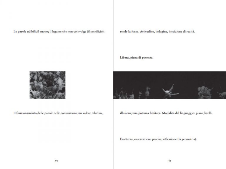 Prove d’ascolto #10 – Mariangela Guatteri