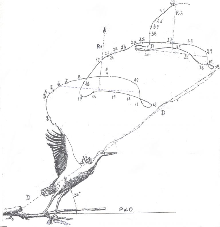 Prove d’ascolto #13 – Giulio Marzaioli
