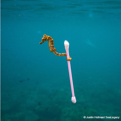 Atarassia, o l’età dello scioglimento (letteratura e ambiente)