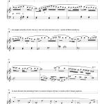 PerLeiFaccioSuonoRima pg 9