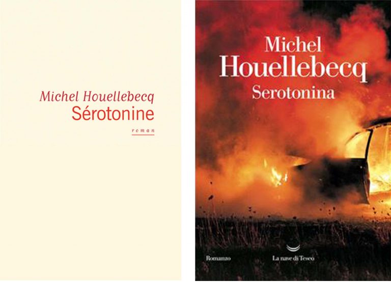 Michel Houellebecq ou l’extension du domaine des livres (prima parte)