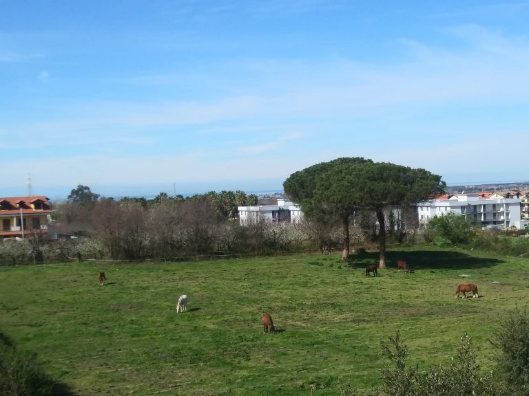 Quando la città respinge. Sui rischi della speculazione turistica a Napoli