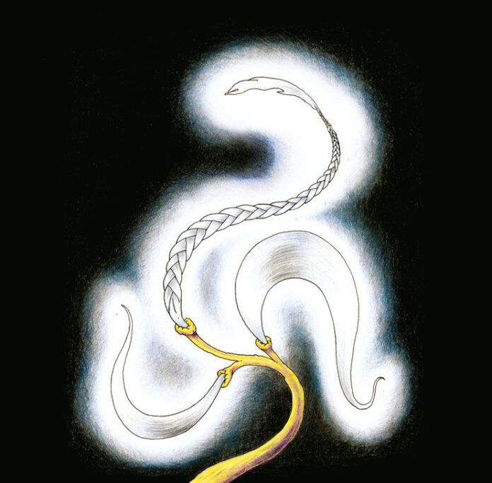 Illustrazione Belli Hortus Mirabilis