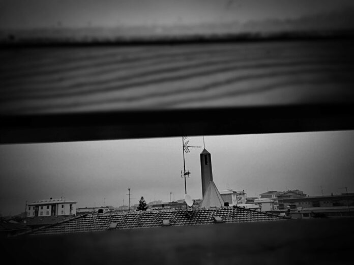 foto felicia buonomo