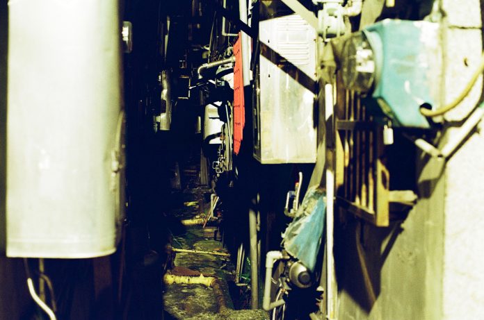 foto racconto Canoro