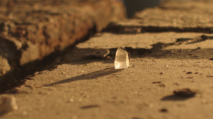 Fabio Poggi_immagine_4.2025