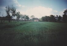 La morte e il lambrusco